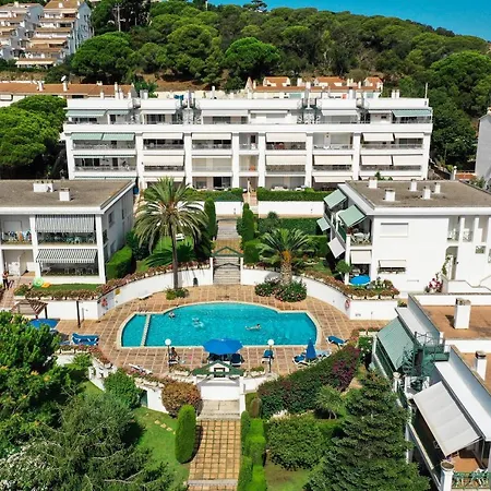 Bravissimo Estel B2